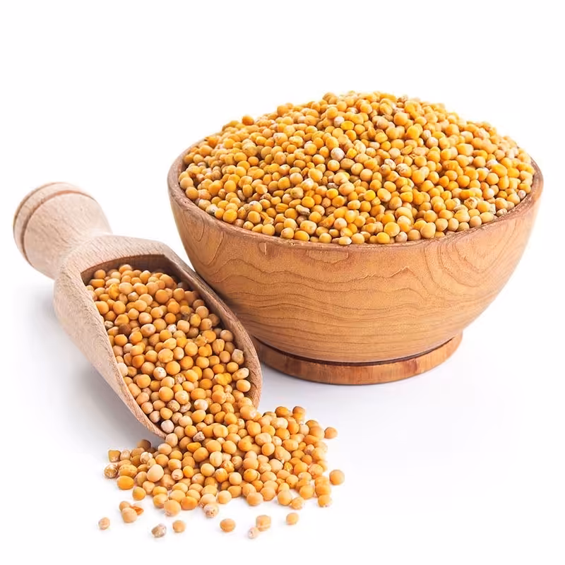 بذر خردل درجه 1  500گرم 