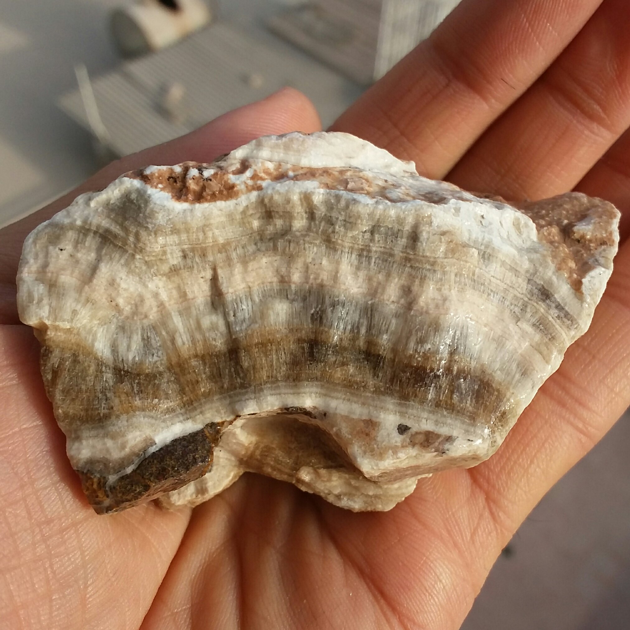 سنگ راف 100 در 100 طبیعی آراگونیت شاهکار خلقت خاص زیبا