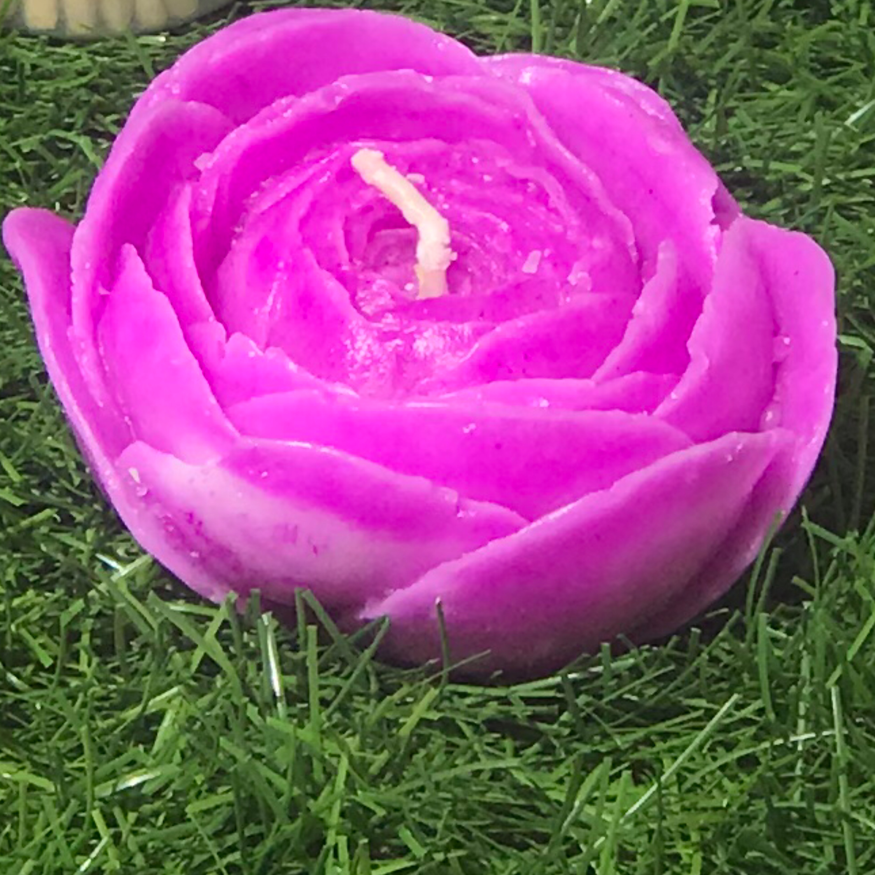 شمع هزار پر