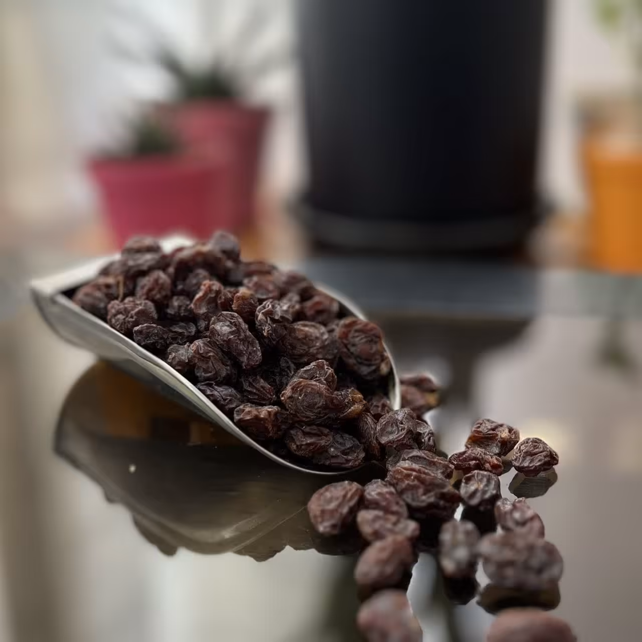 مویز گوشتی تپل  درجه 1 منطقه دشمن زیاری عمده (10 کیلویی) 