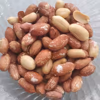 بادام زمینی درجه یک درشت و خوشمزه آستانه اشرفیه 500 گرمی