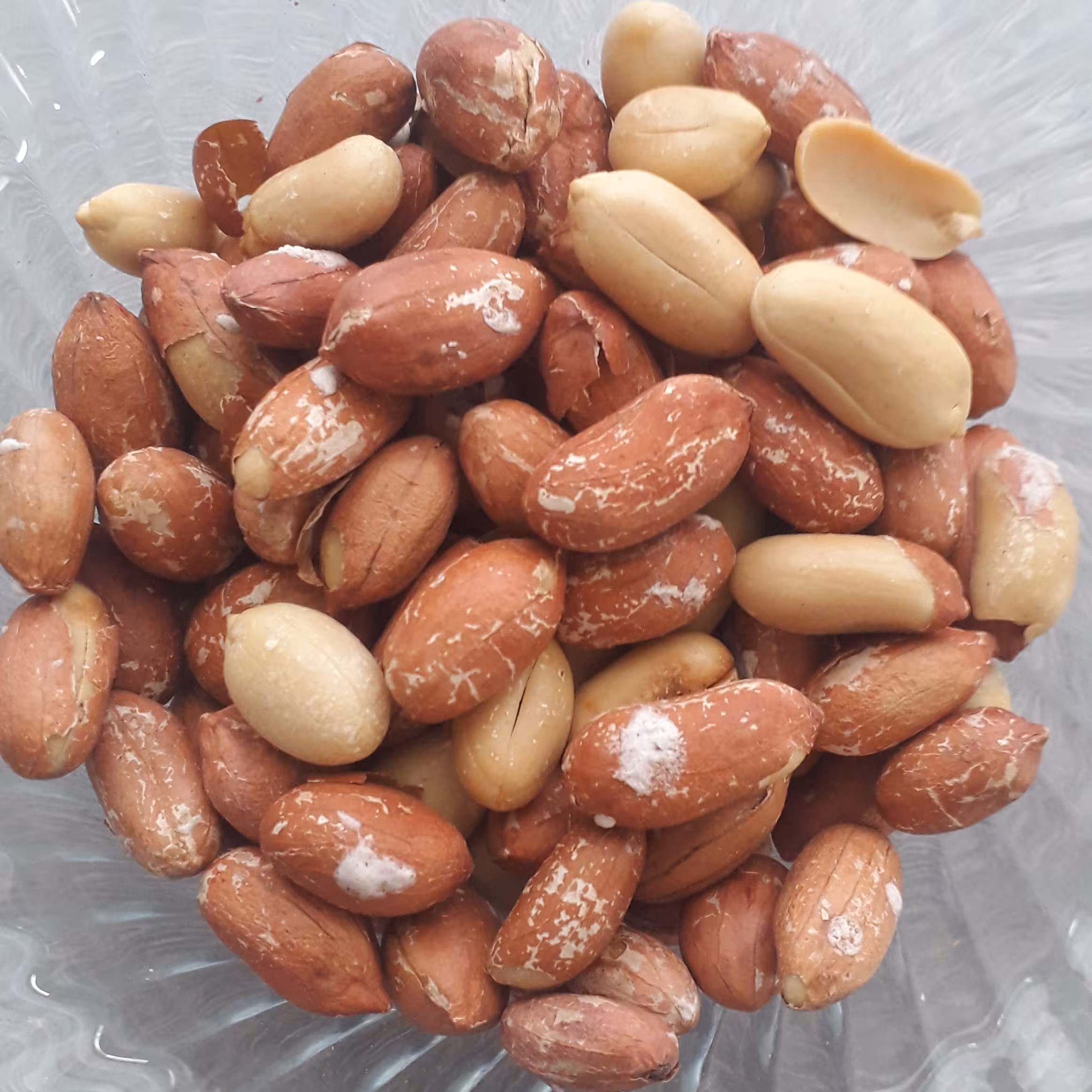 بادام زمینی درجه یک درشت و خوشمزه آستانه اشرفیه 500 گرمی