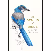 کتاب زبان اصلی The Genius of Birds اثر Jennifer Ackerman انتشارات Penguin Press