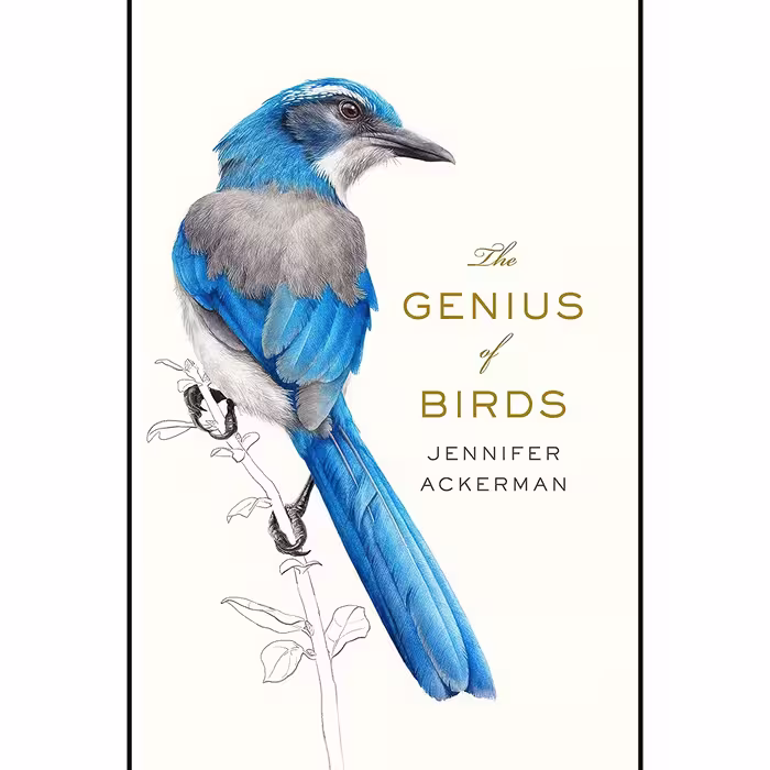 کتاب زبان اصلی The Genius of Birds اثر Jennifer Ackerman انتشارات Penguin Press