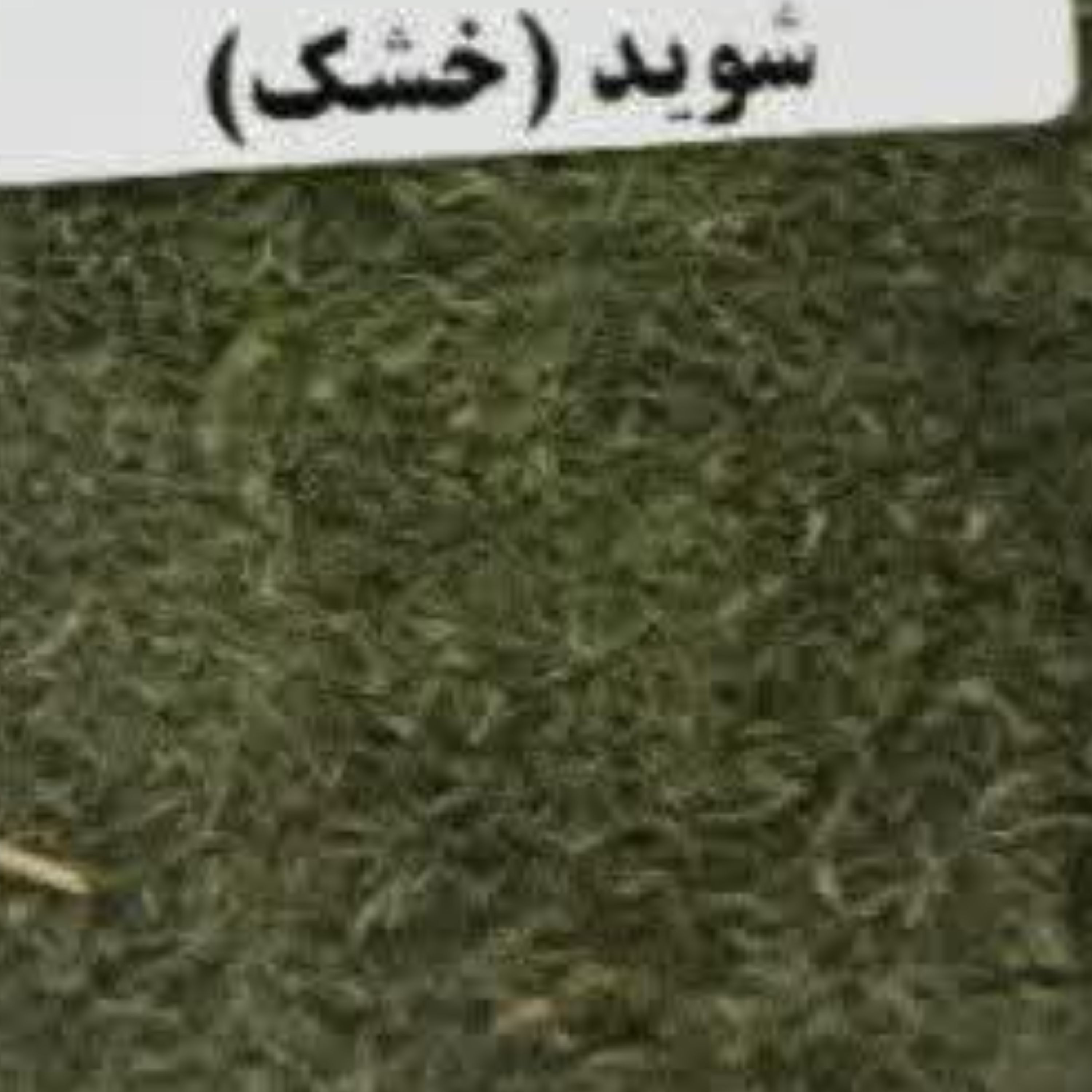 شوید خشک بسیار تمییز و عالی ویژه کدبانوهای سخت پسند