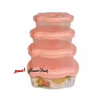 ظرف نگهدارنده سوپاپ دار پلی نیک مستطیل 4 عددی در پلاسکو  امیر 