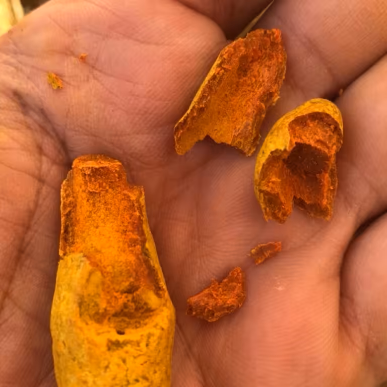 زردچوبه 50 کیلویی عمده