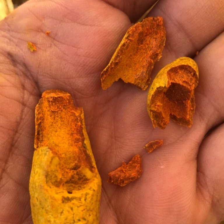 زردچوبه 50 کیلویی عمده