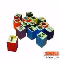 ایستگاه جست و جو NSN