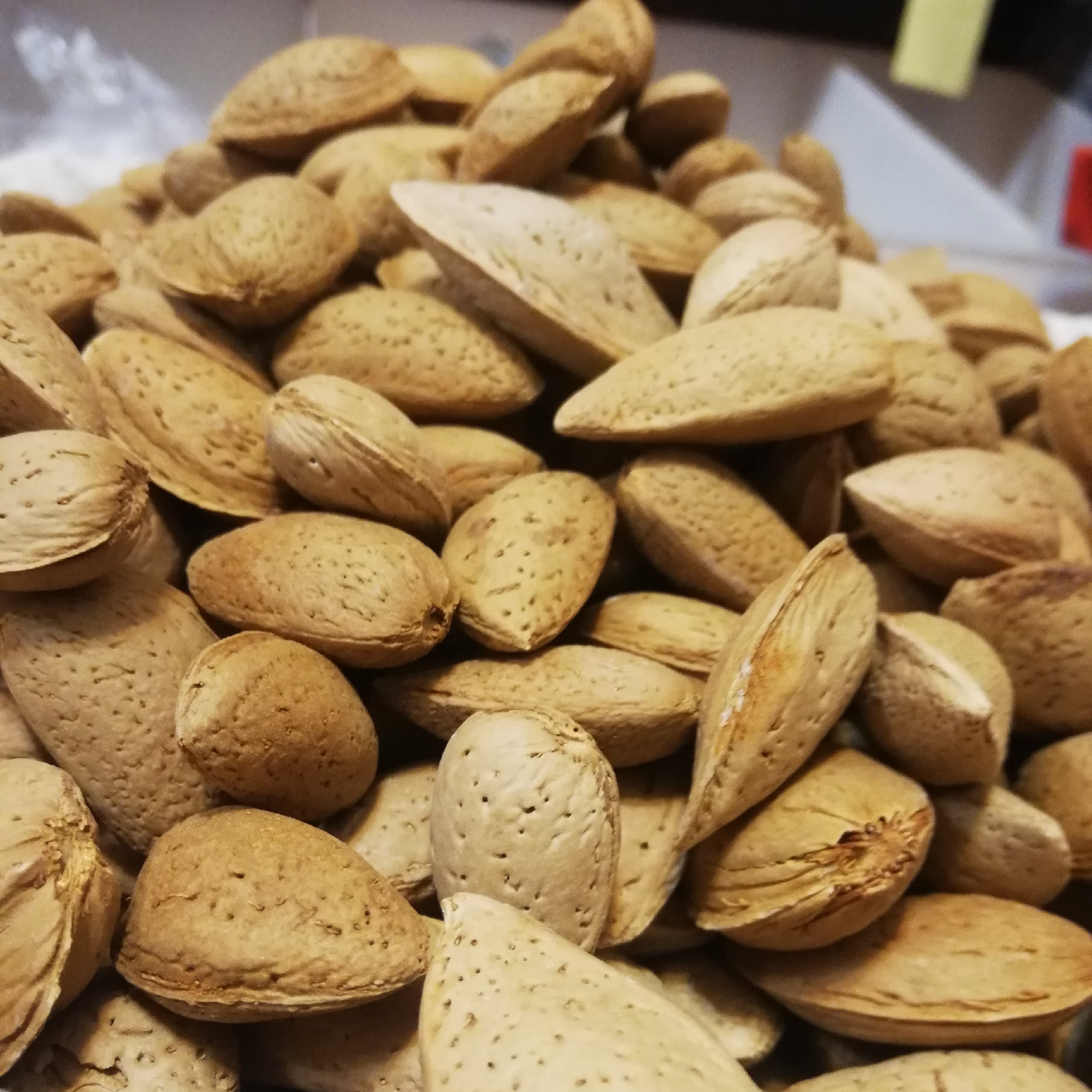 بادام سنگی تازه هزار گرمی (سایز متوسط)(ارسال رایگان)