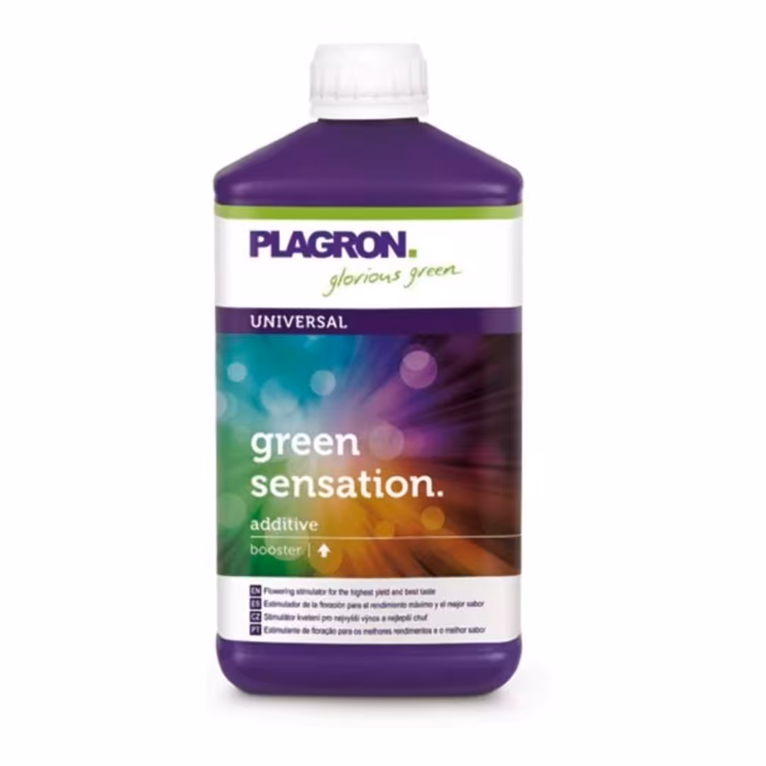 کود پلاگرون گرین سنسیشن Green Sensation

