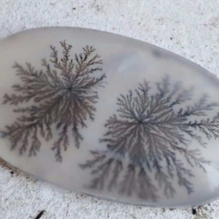 نگین شجر زیبا و خاص قواره دار