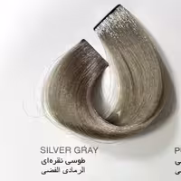 رنگ طوسی نقره ای، رنگ مو کاترومر بدون آمونیاک و یک عدد اکسیدان 150 میلی لیتر | amazonchi