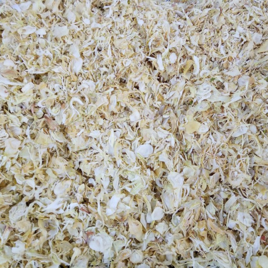 پیاز خشک پیاز خشک واحد دوجین